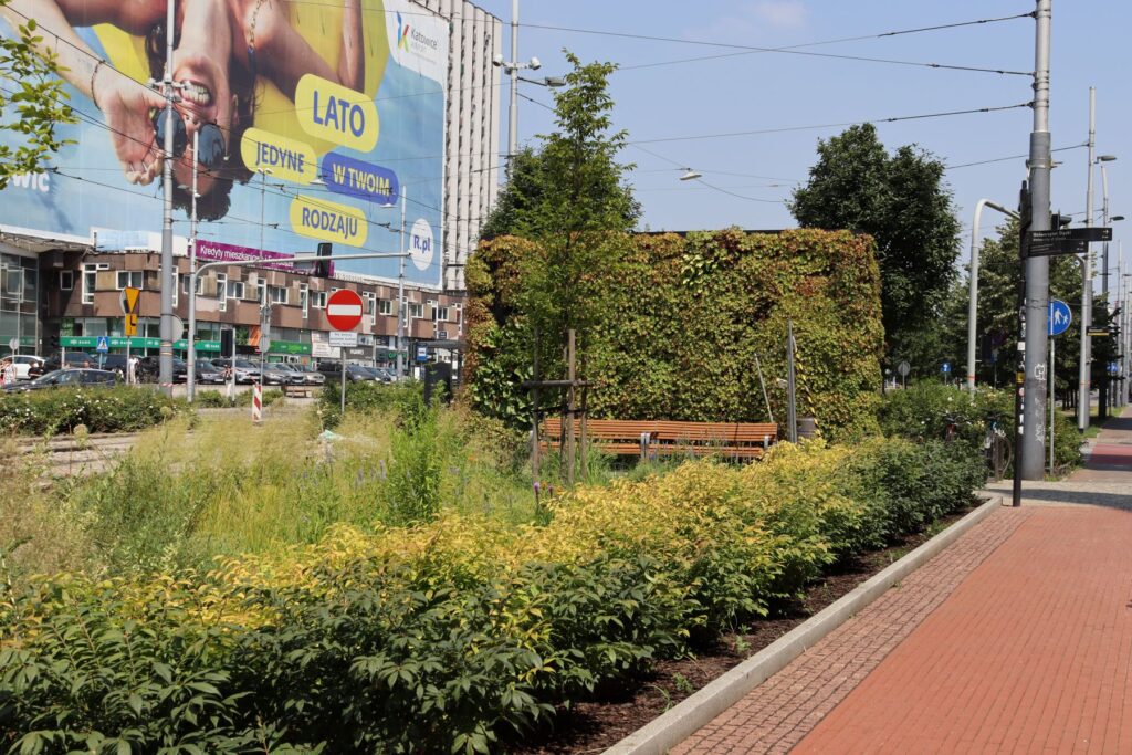Miejski skwer przy ruchliwej ulicy w centrum Katowic z rabatami roślin, drzewami, ławką ukrytą za zieloną ścianą z pnączy oraz ścieżką dla pieszych i rowerzystów. W tle widoczny jest billboard reklamowy i zabudowa śródmiejska.