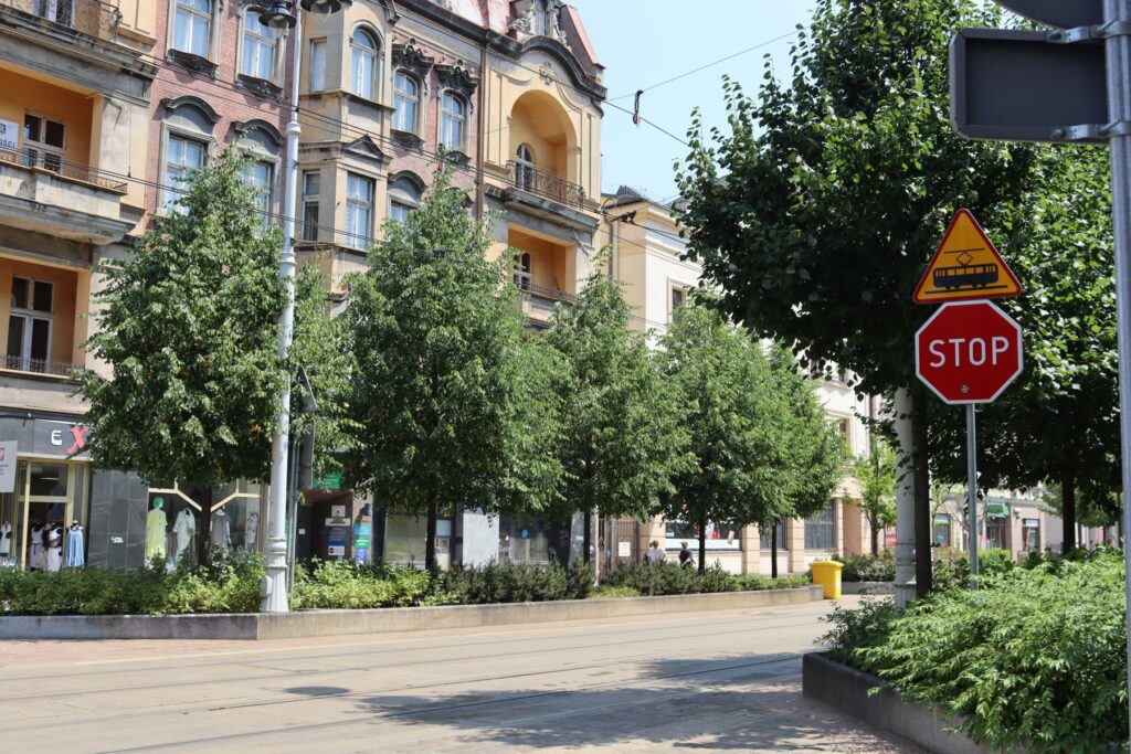 Aleja z torowiskiem tramwajowym obsadzona drzewami w centrum Katowic.